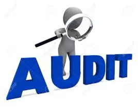 Audit and Data Verification Services